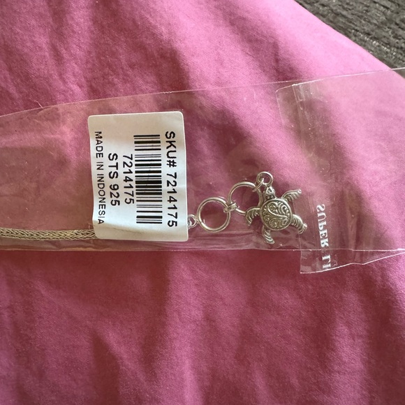 Silver Turtle Charm Bracelet - Picture 5 of 5